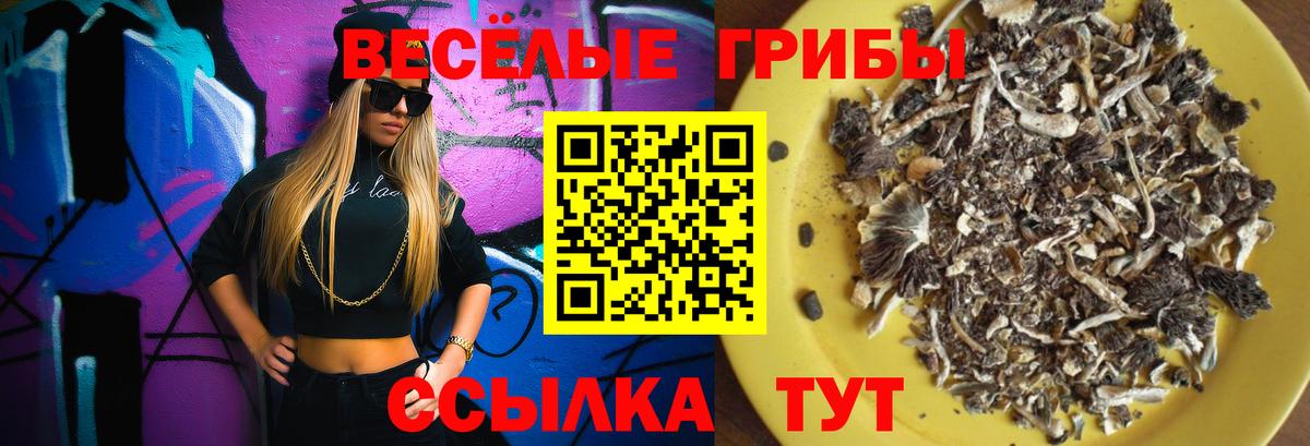 Галлюциногенные грибы Cubensis Пушкино