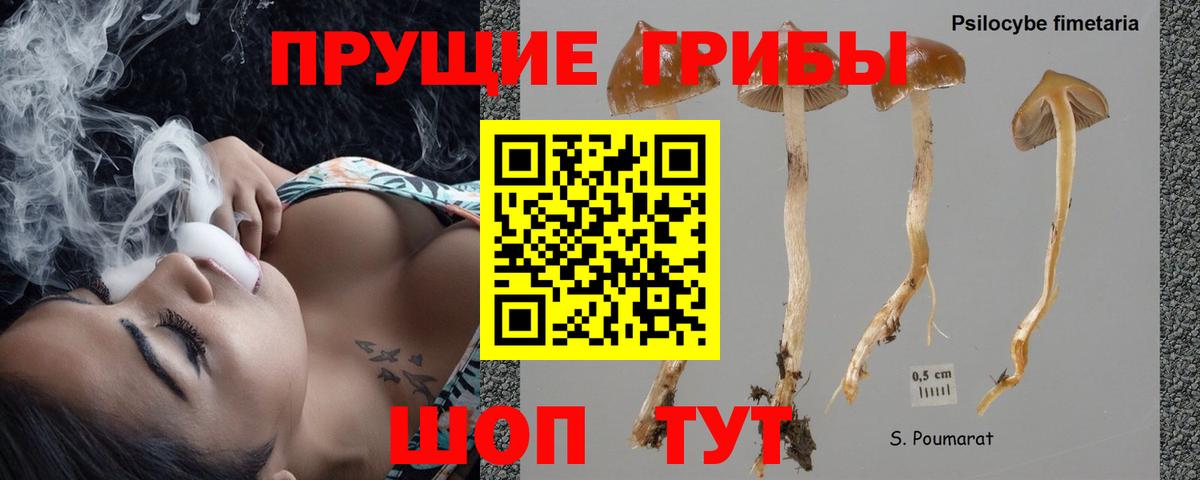 купить наркотик  Вход с VPN  Пушкино  Галлюциногенные грибы прущие грибы 
